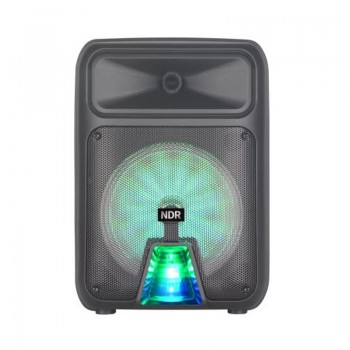 OEM NDR-P28 8 Inch 300W USB/SD/FM And Bluetooth Home Party Speaker 