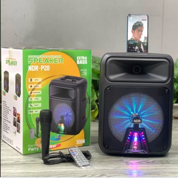 OEM NDR-P28 8 Inch 300W USB/SD/FM And Bluetooth Home Party Speaker 
