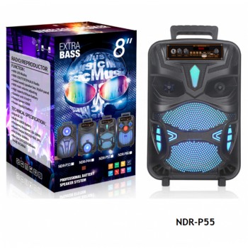 OEM GZ-P55 8 Inch 300W USB/SD/FM And Bluetooth Home Party Speaker 